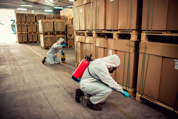 Best Local Pest Control Services  in North Zanesville, OH