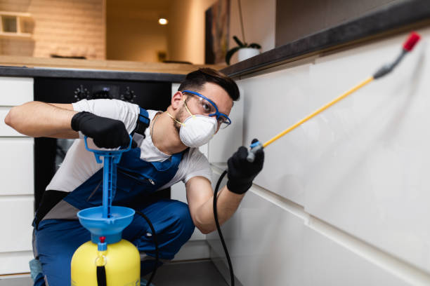 Trusted North Zanesville, OH Pest Control Experts