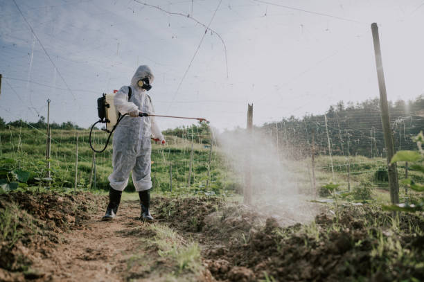 Best Mosquito Control Services  in North Zanesville, OH