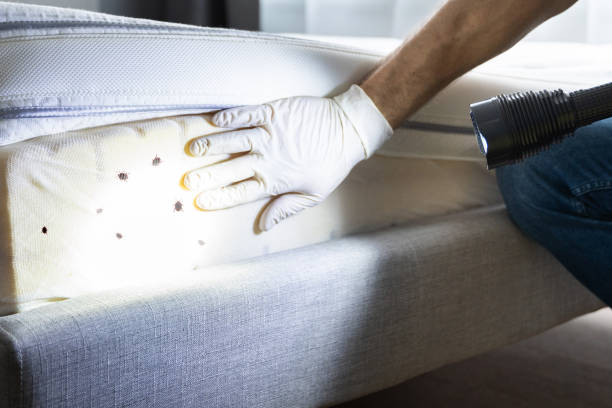 Pest Control Cost in North Zanesville, OH