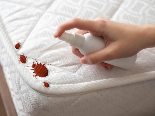 Best Mosquito Control Services  in North Zanesville, OH