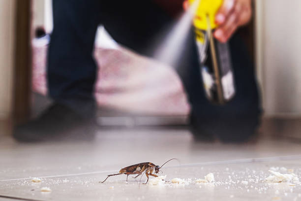 Best Best Pest Control Companies  in North Zanesville, OH